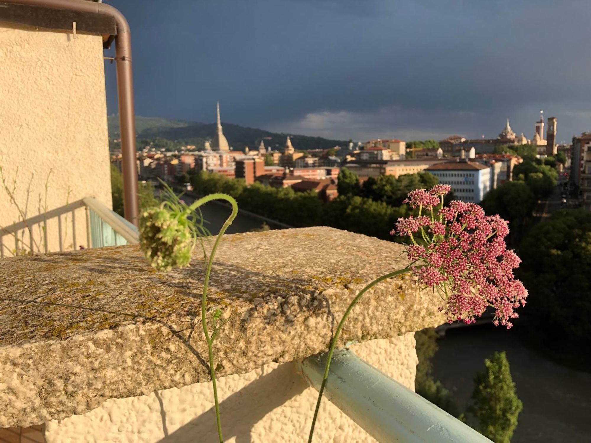 Attico Ellen Terrazza Con Vista Apartment Turin Exterior photo